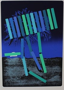 Image description is not available for FIM2015.394.1